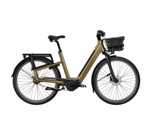 Crescent Elston 5 vxl Brun